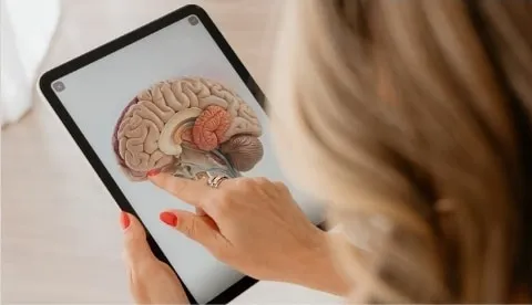 Ilustración del cerebro en una tableta